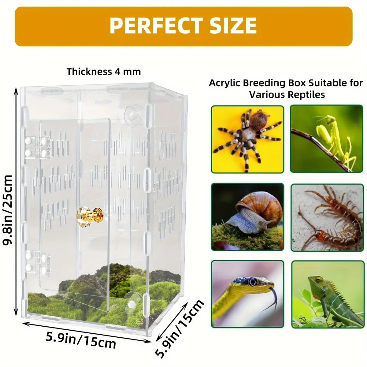 Acrylic Transparent Breeding Box for Reptiles and Quail