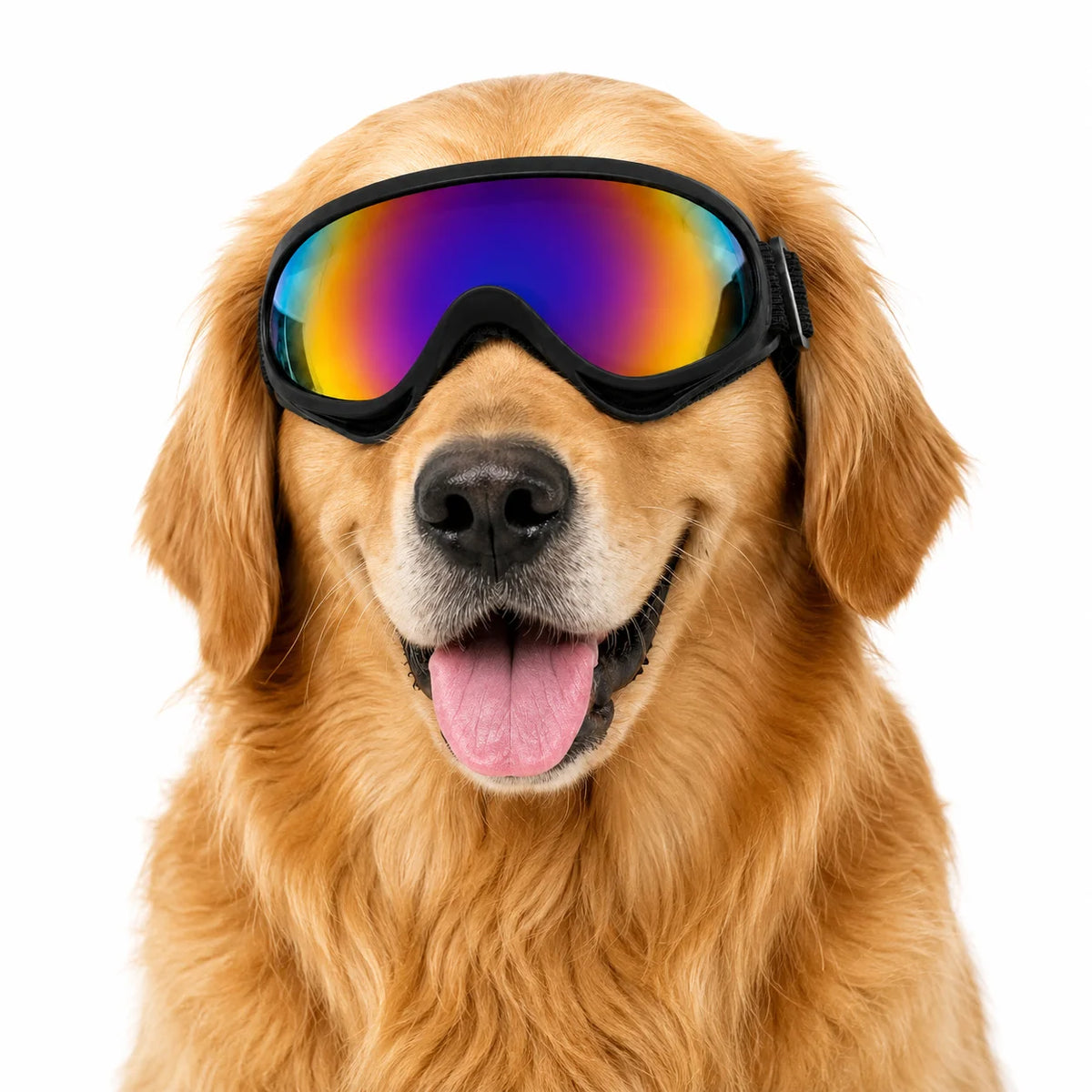 Black Adjustable Dog Goggles UV Protection Sunglasses