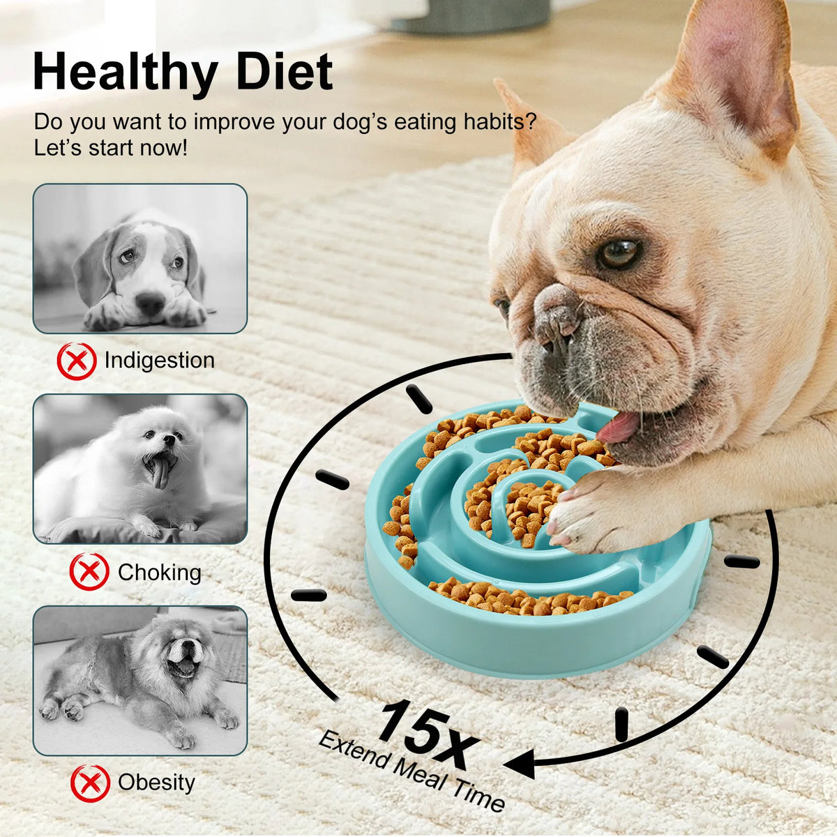 Non-Slip Durable Slow Feeder Pet Bowl for All Sizes