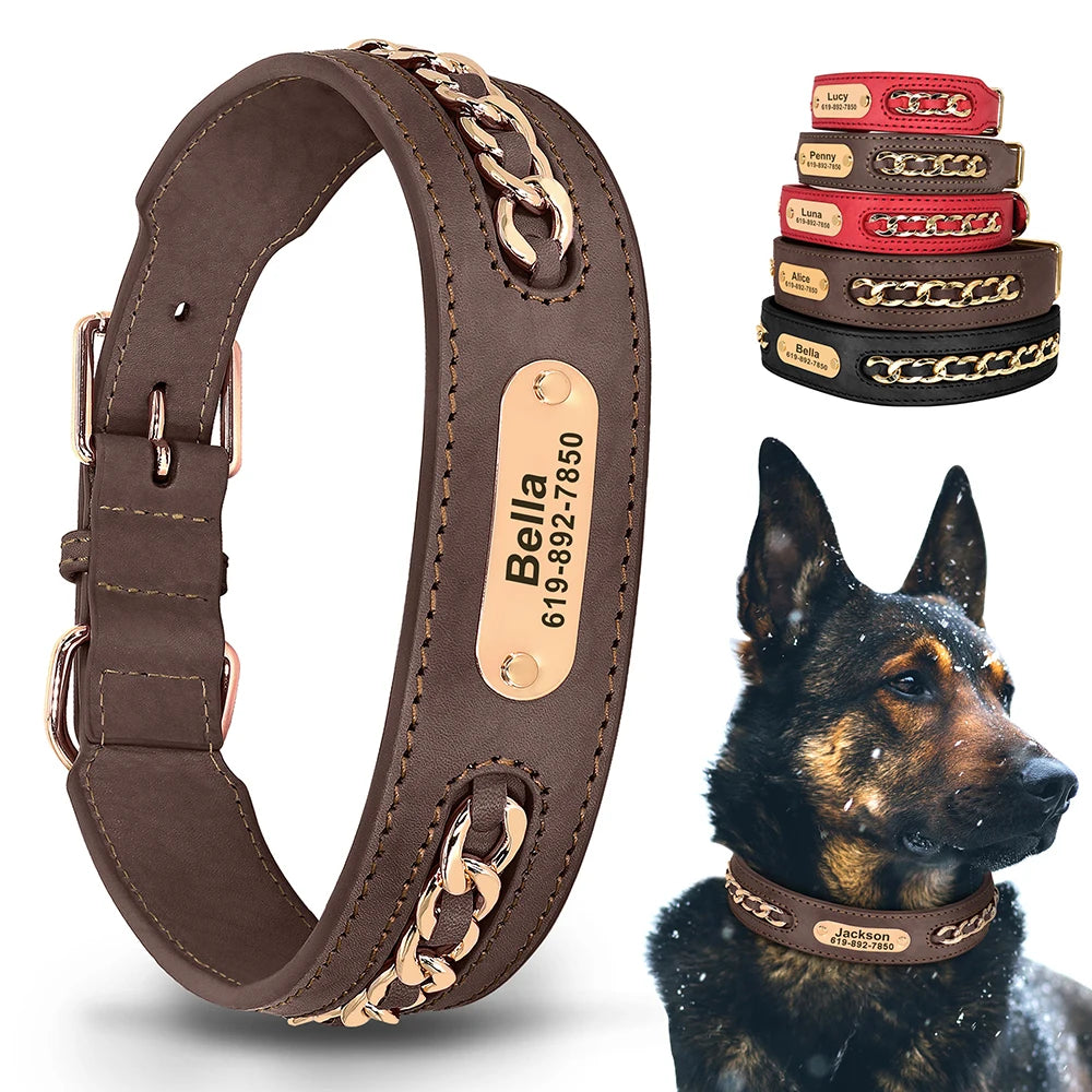 Personalized Engraved Leather Dog Collar and ID Nameplate