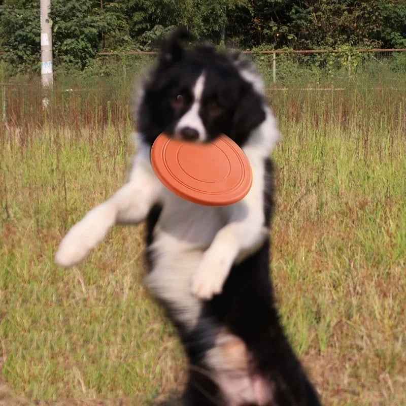 Interactive Silicone Dog Flying Saucer Toy