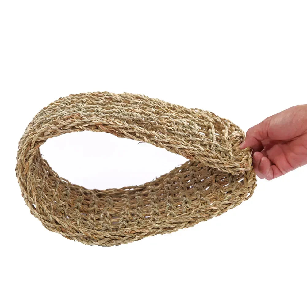 Seagrass Reptile Hammock and Suction Cup Bed