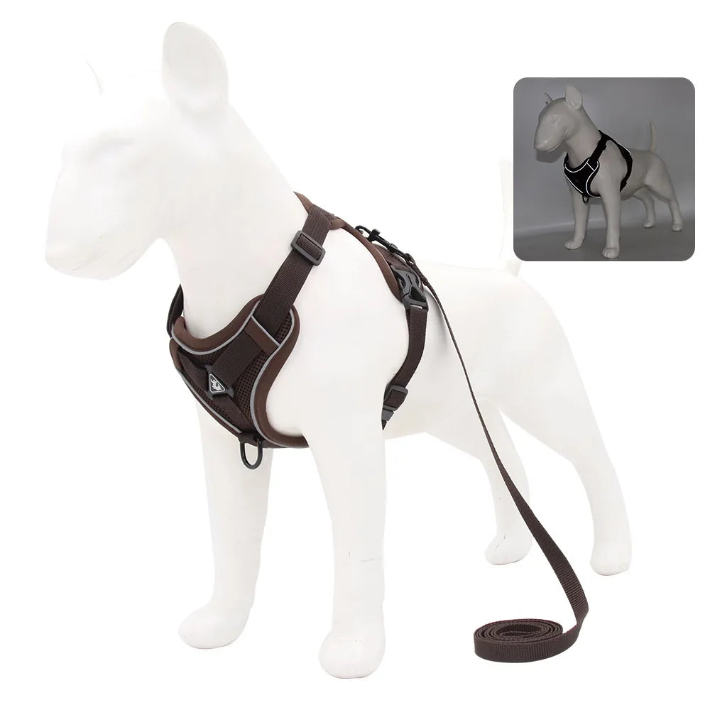 Small Dog Harness and Leash Set