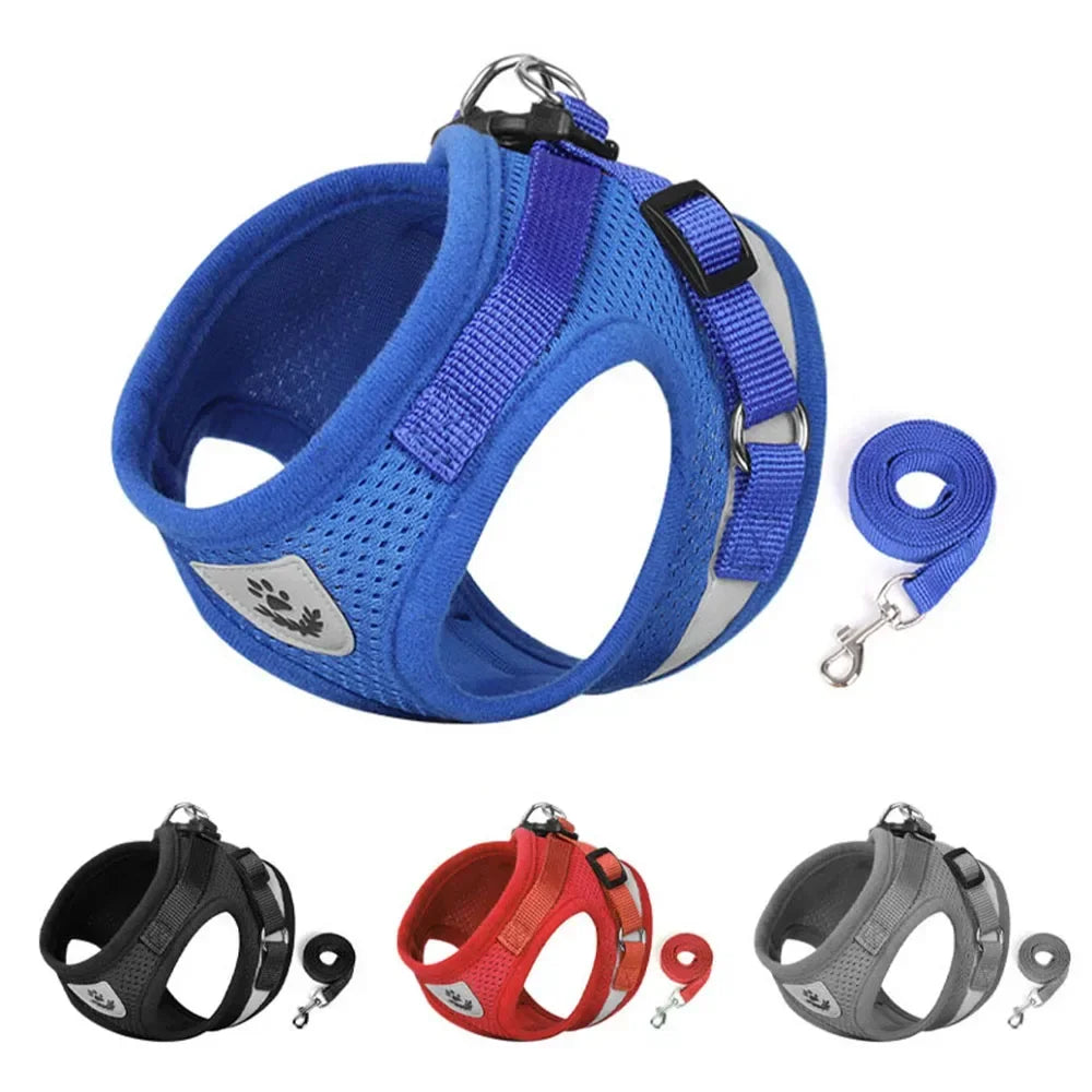 Reflective Escape-Proof Cat Harness and Leash Set