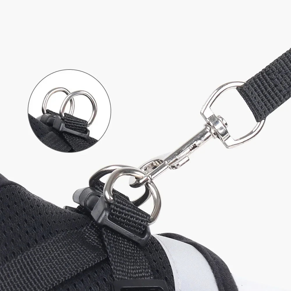 Reflective Escape-Proof Cat Harness and Leash Set