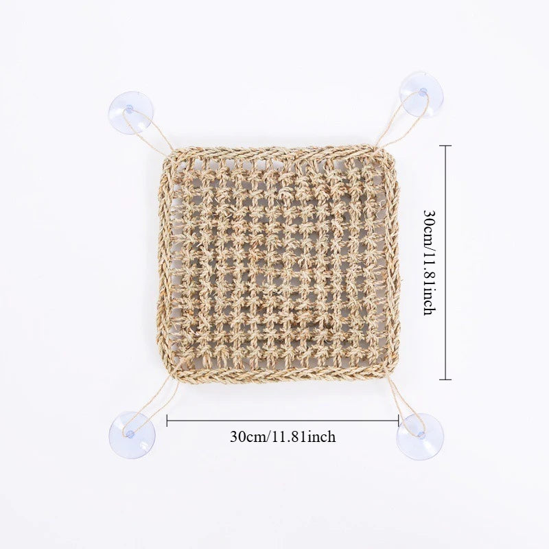 Seagrass Reptile Hammock and Suction Cup Bed