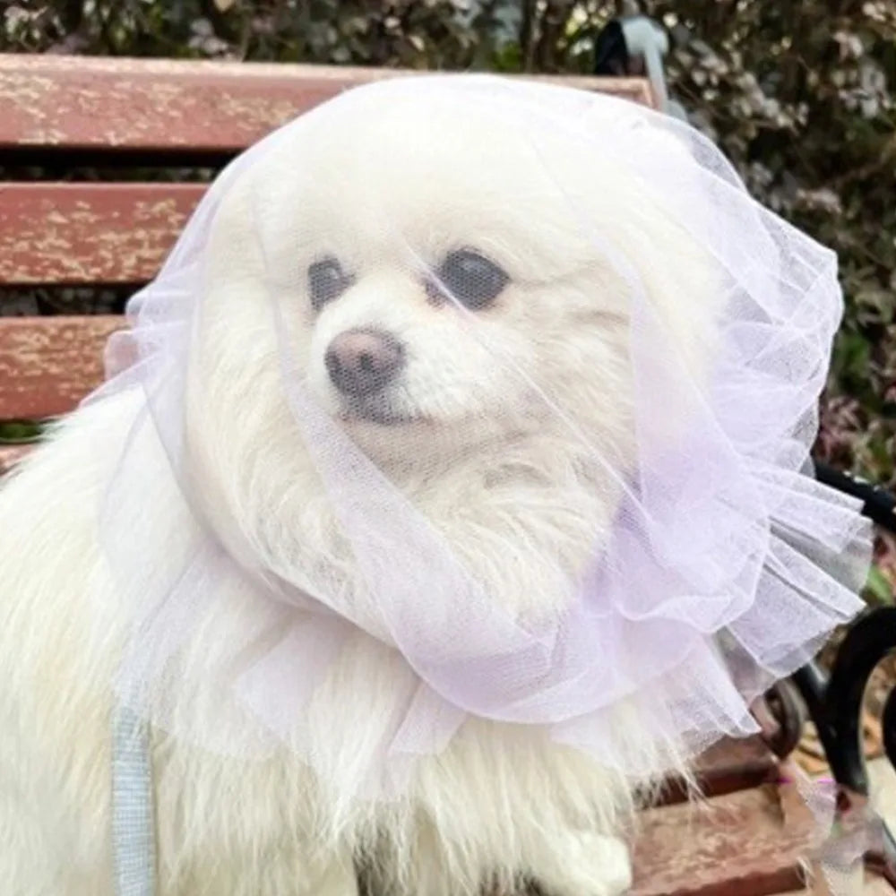 Breathable Adjustable Dog AntiBite Veil Mask