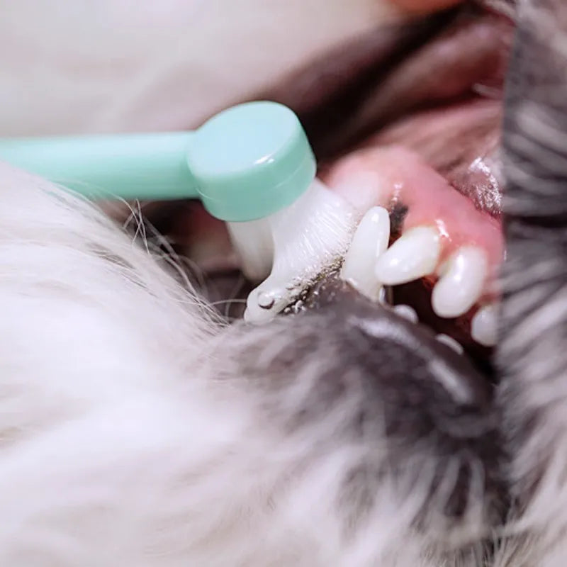 Mini Dog Toothbrush for Oral Care