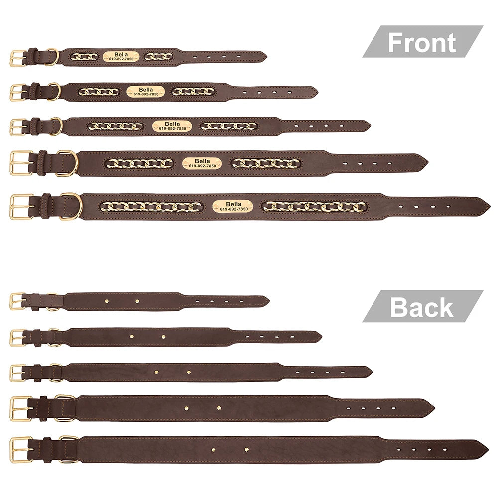 Personalized Engraved Leather Dog Collar and ID Nameplate