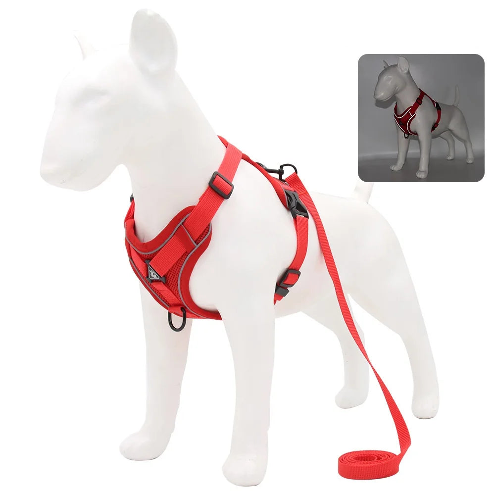 Small Dog Harness and Leash Set