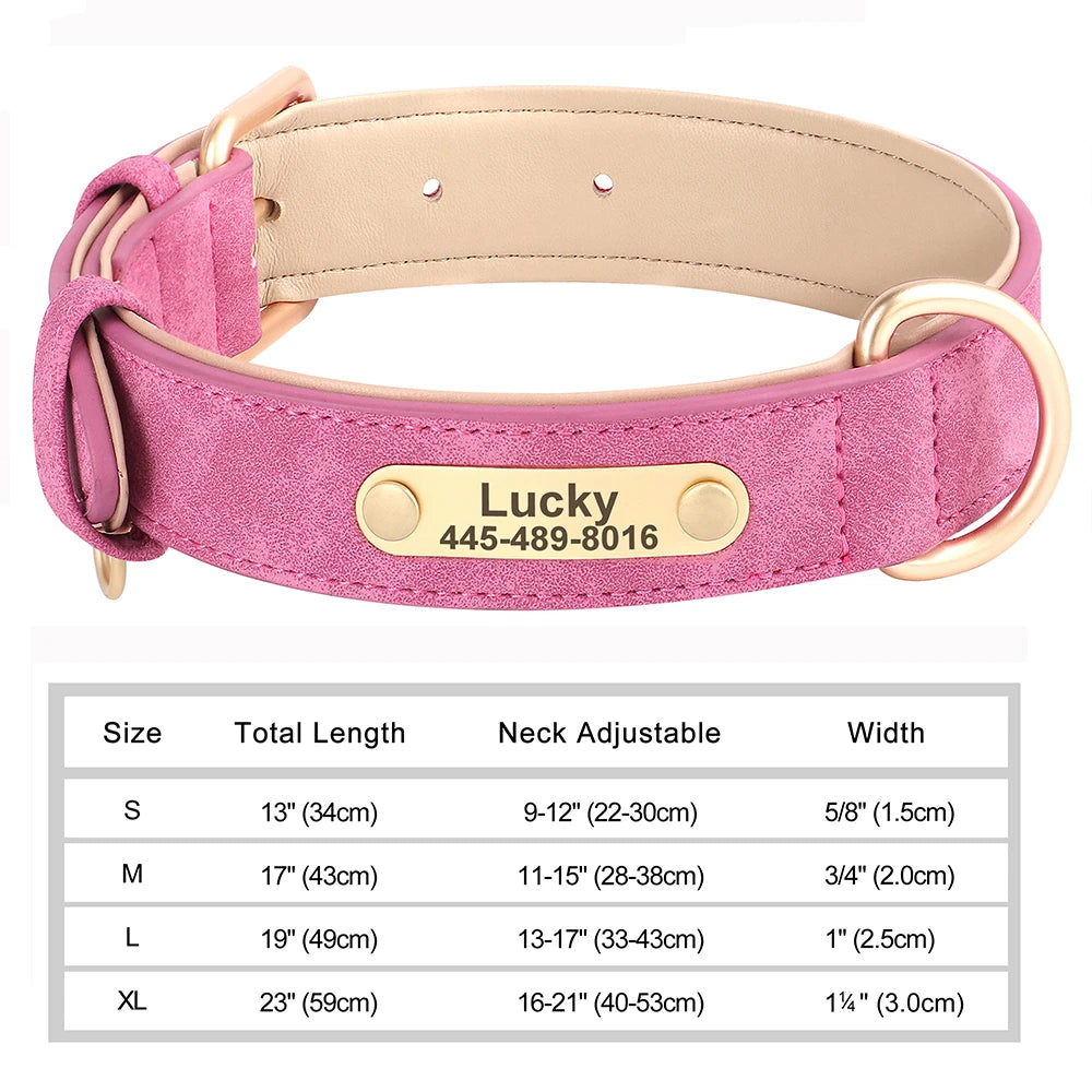 Personalized Leather Dog Collar with Engraved Nameplate