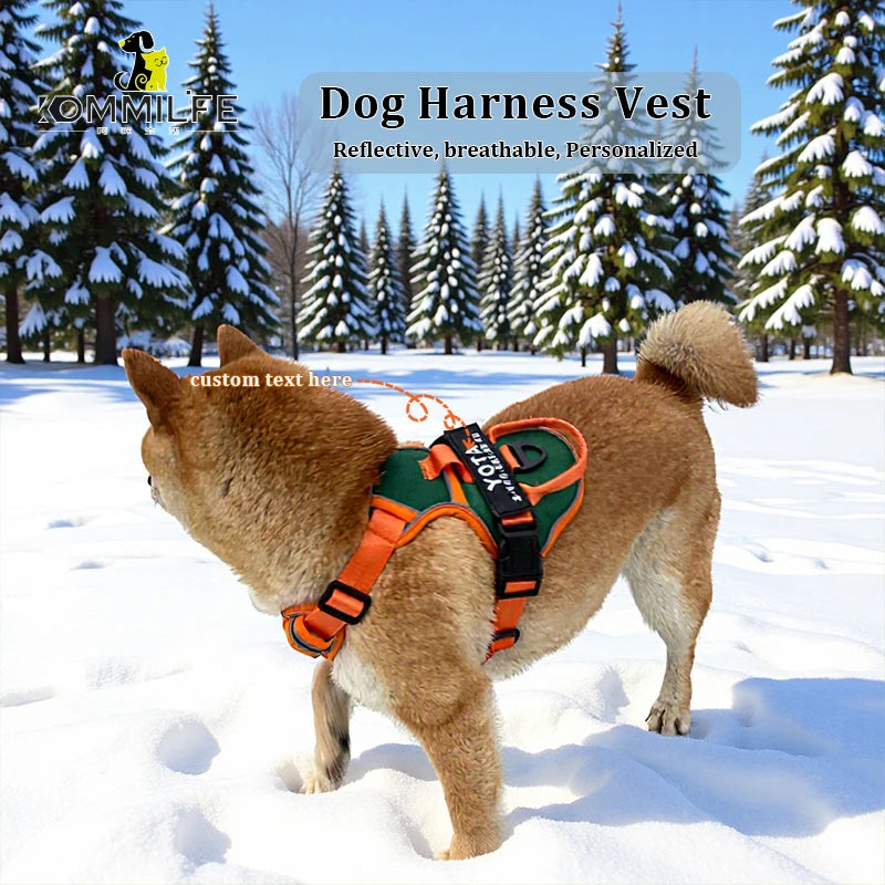 Personalized Reflective Breathable Dog Harness and Leash Set