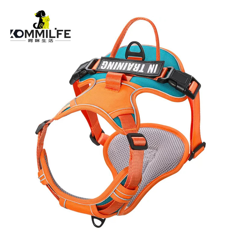 Personalized Reflective Breathable Dog Harness and Leash Set