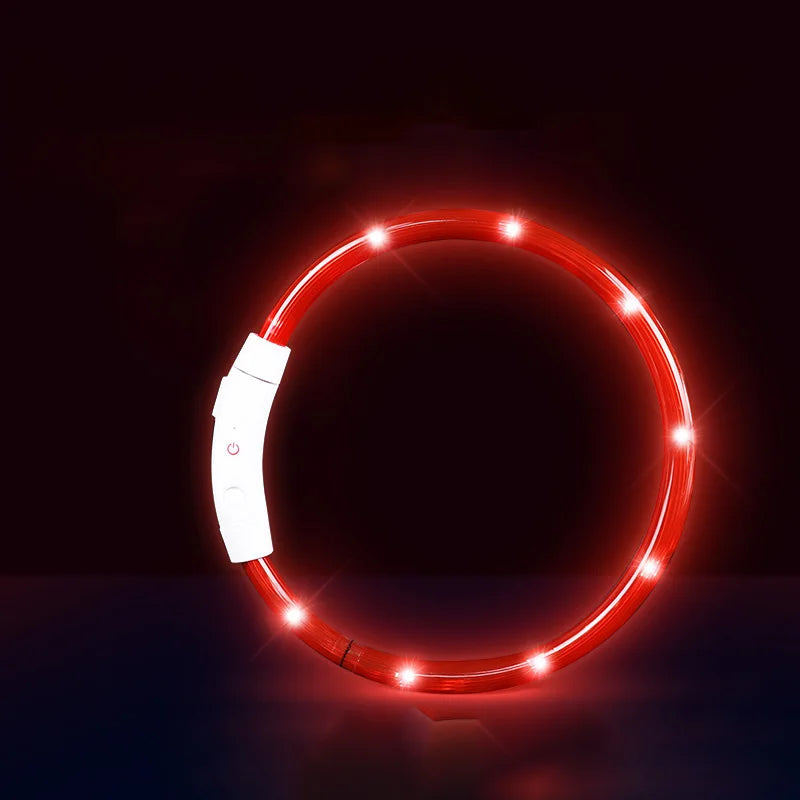 USB Rechargeable LED Pet Light Collar