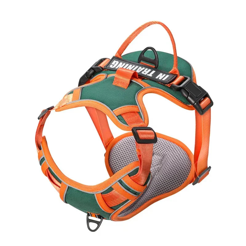 Personalized Reflective Breathable Dog Harness and Leash Set