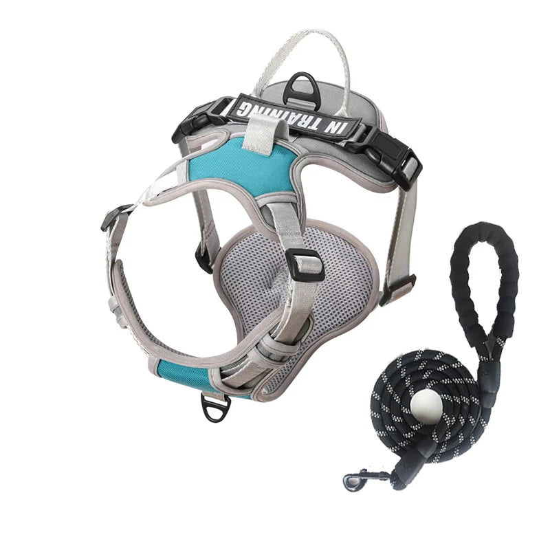 Personalized Reflective Breathable Dog Harness and Leash Set