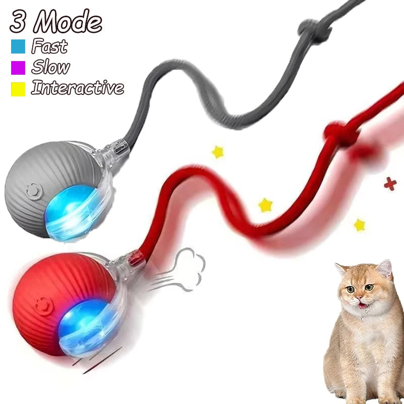 2 Pack Smart Interactive Rolling Cat Ball Toys with Faux Tails