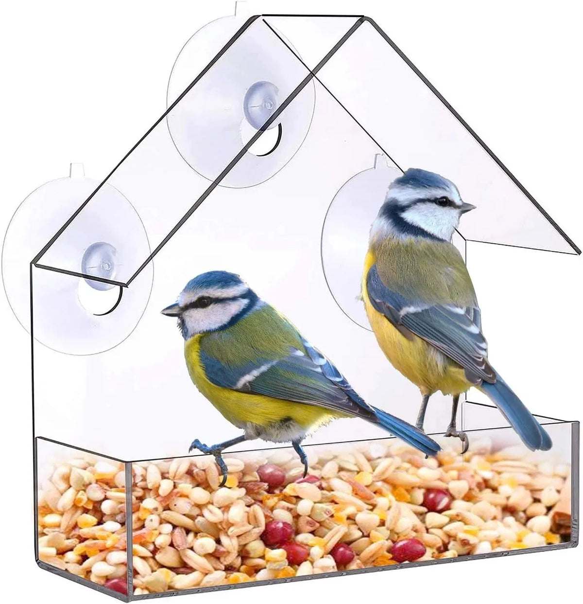 Clear Window Acrylic Hanging Bird Feeder