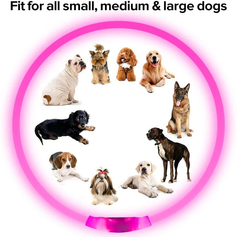 Rechargeable LED Safety Dog Collar