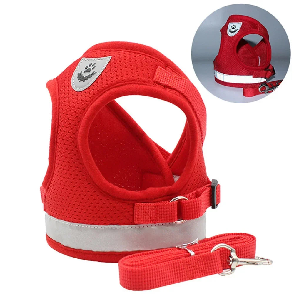 Reflective Escape-Proof Cat Harness and Leash Set