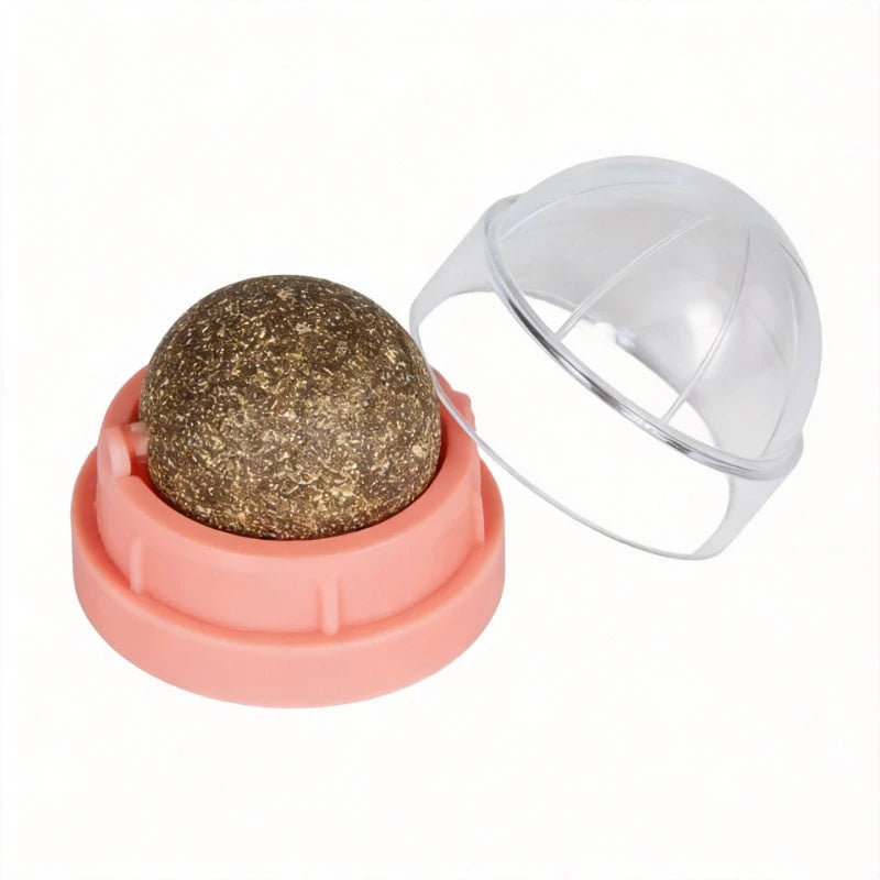 Wall Mount Catnip Ball Cat Toy Natural Treat