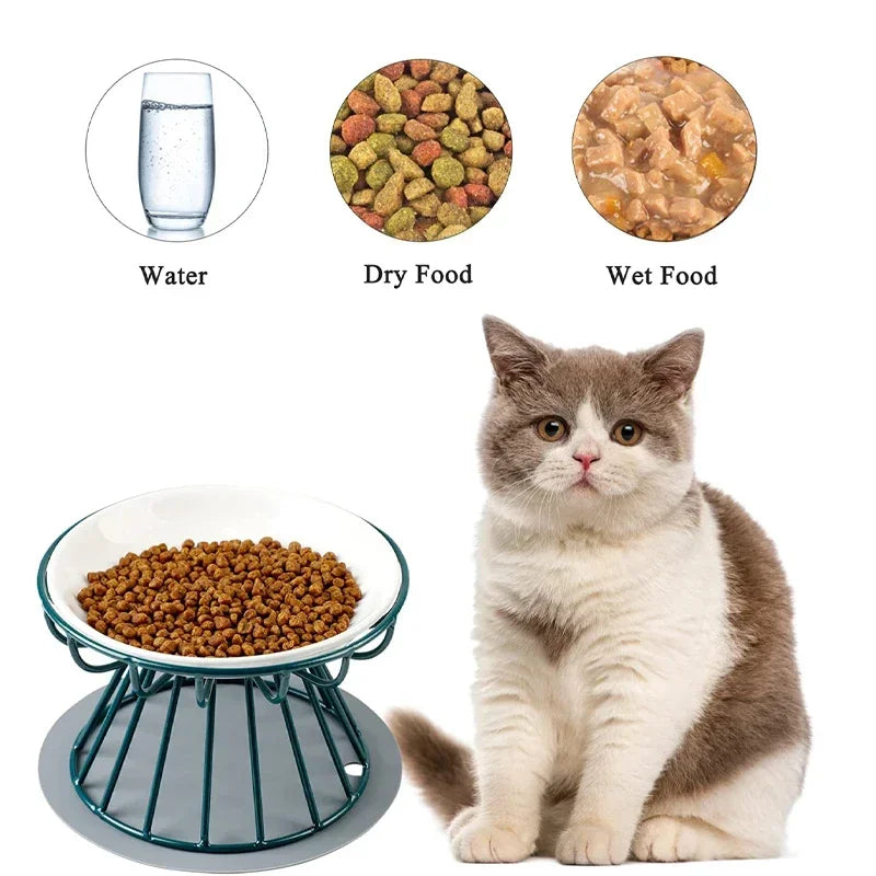 Raised Double Ceramic Pet Bowl and Stand