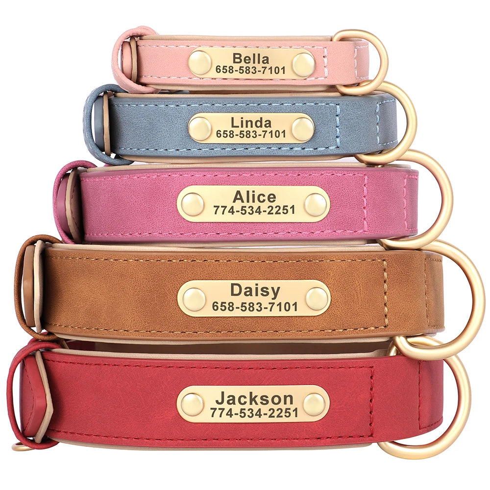 Personalized Leather Dog Collar with Engraved Nameplate