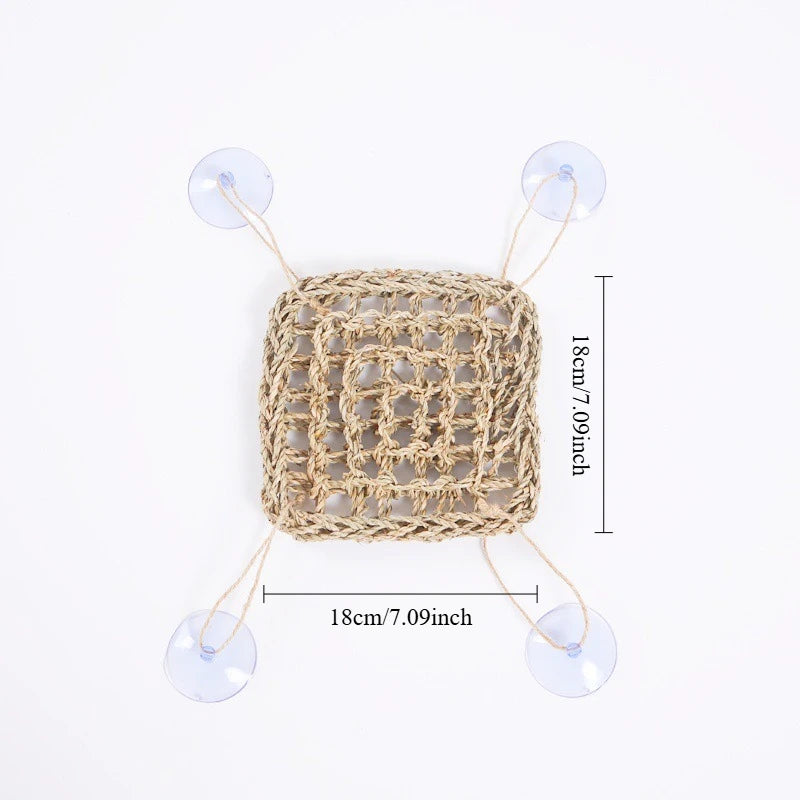 Seagrass Reptile Hammock and Suction Cup Bed
