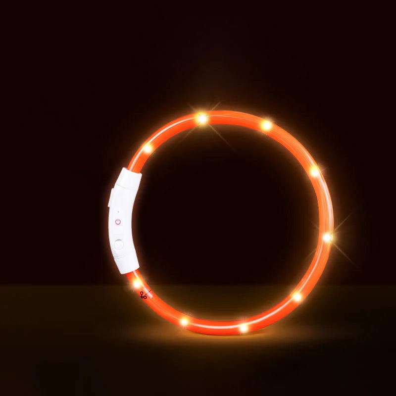 USB Rechargeable LED Pet Light Collar