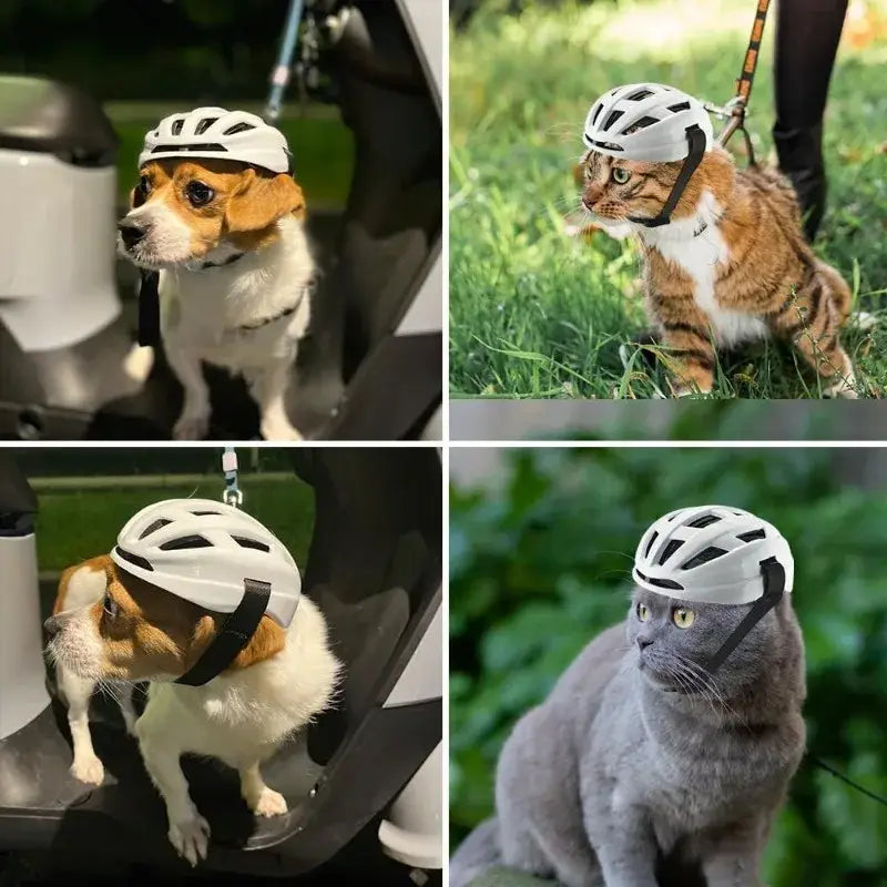 Adjustable breathable white bicycle helmet with black straps and ventilation slots for pet motorcycle and cycling use
