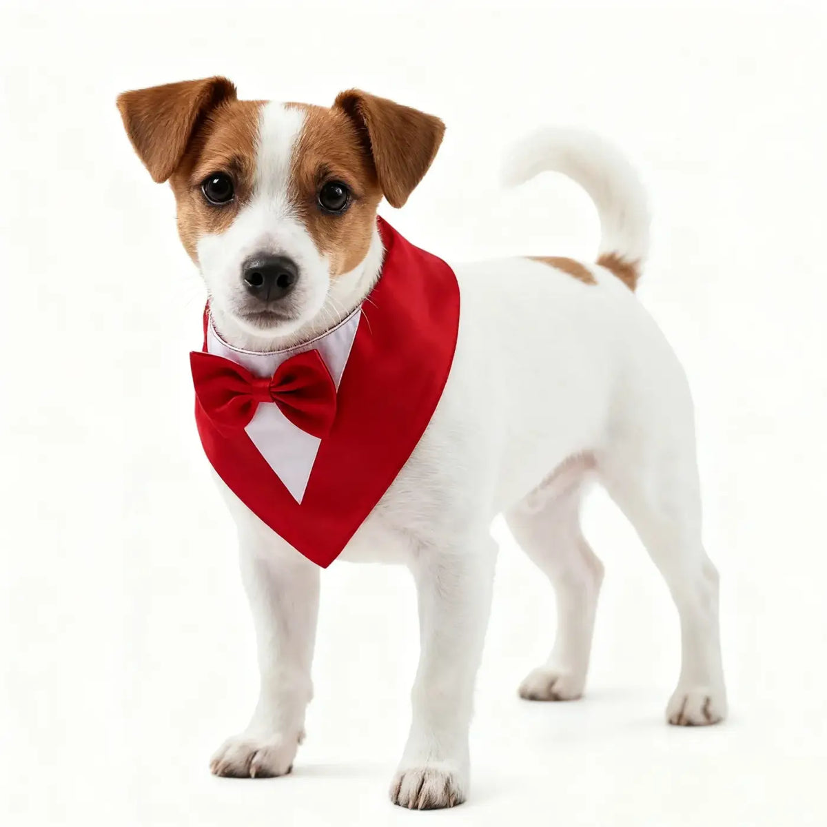 Adjustable Formal Dog Bow Tie Bandana Pet Scarf
