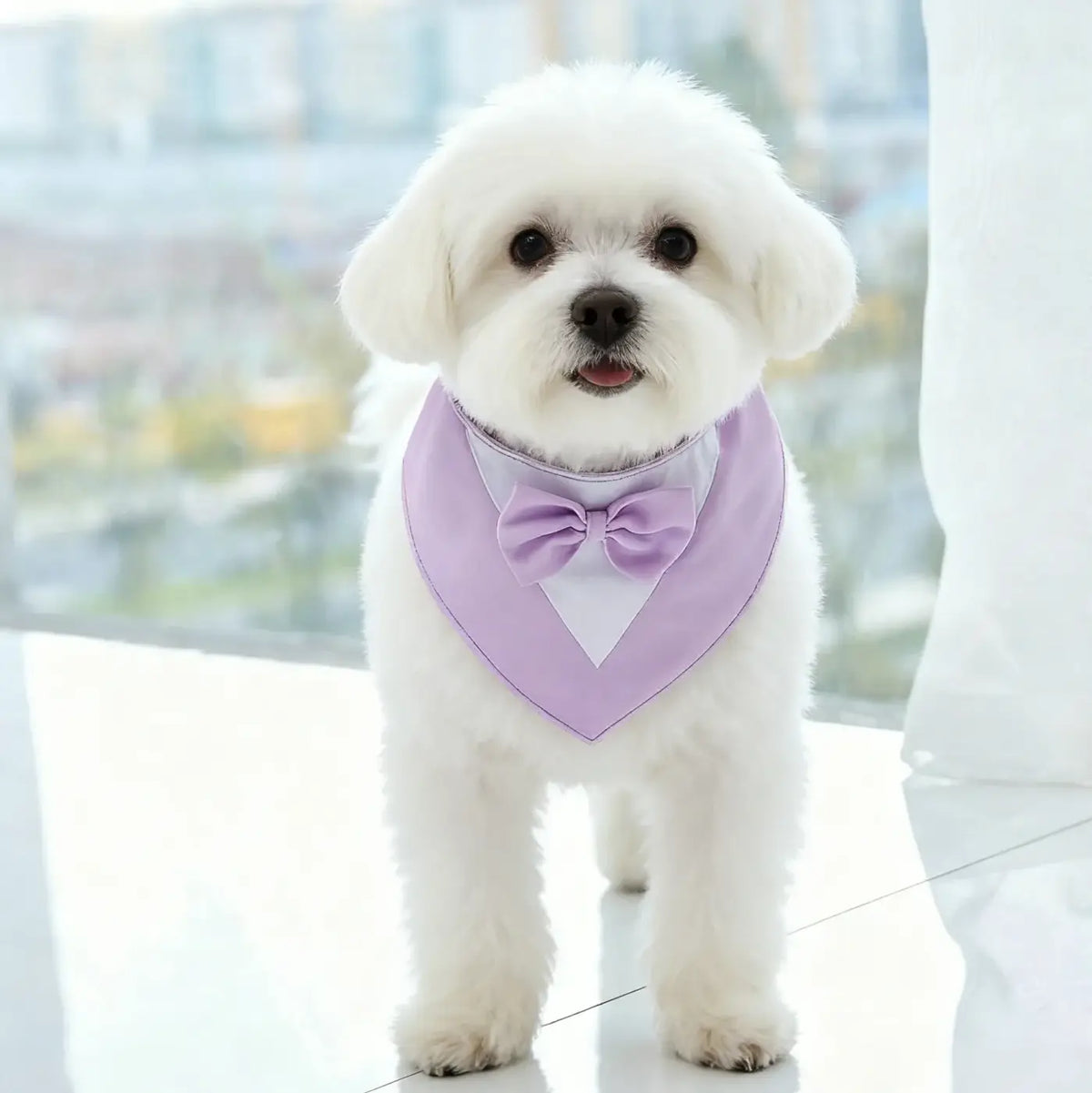 Adjustable Formal Dog Bow Tie Bandana Pet Scarf