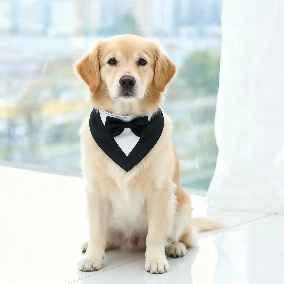 Adjustable Formal Dog Bow Tie Bandana Pet Scarf