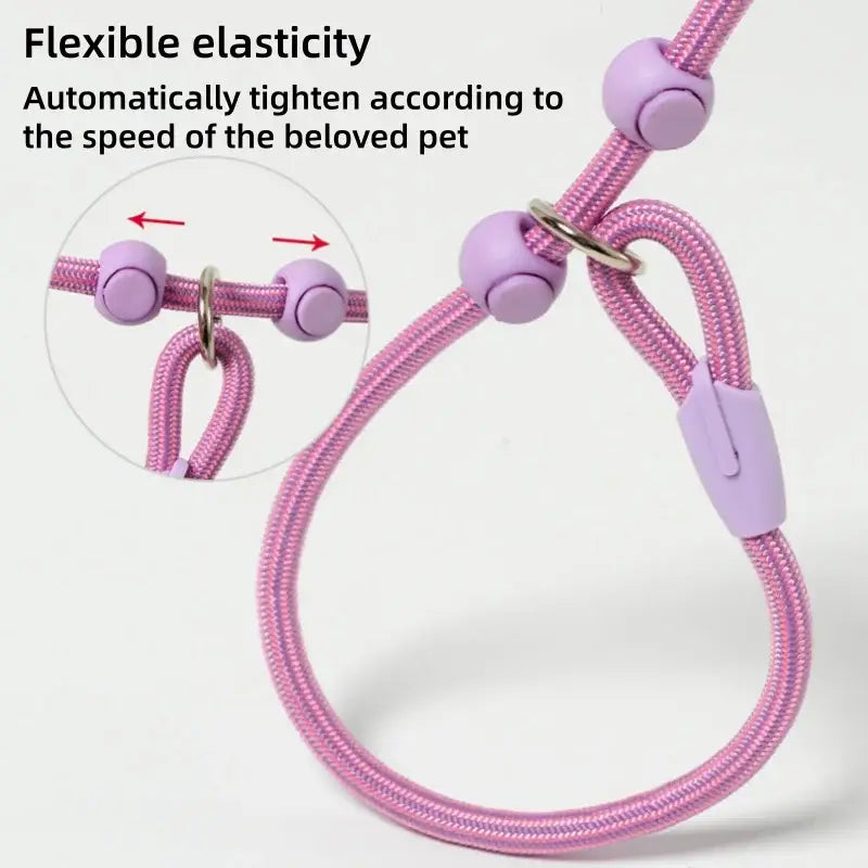 Adjustable Macaron Dog Slip Leash 160cm