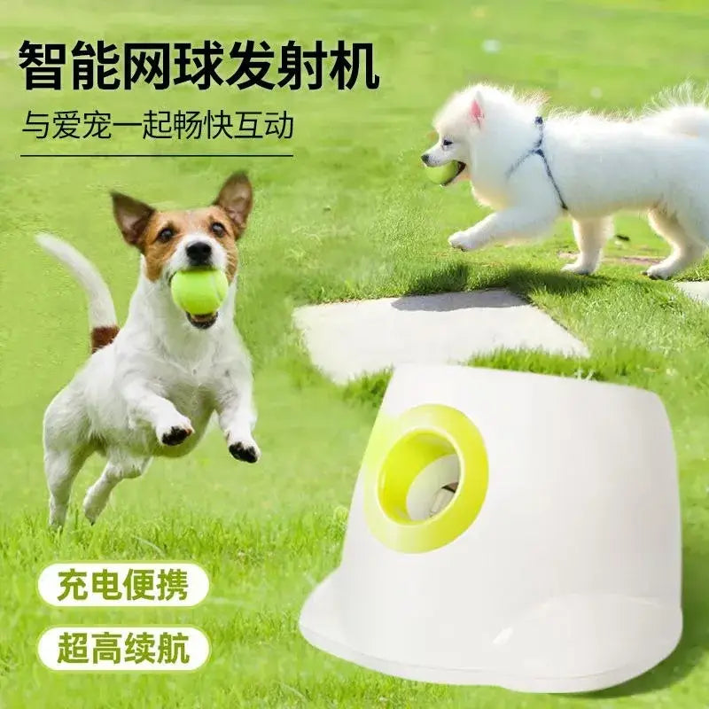 White and lime green plastic automatic dog tennis ball and treat launcher toy with circular opening for easy loading