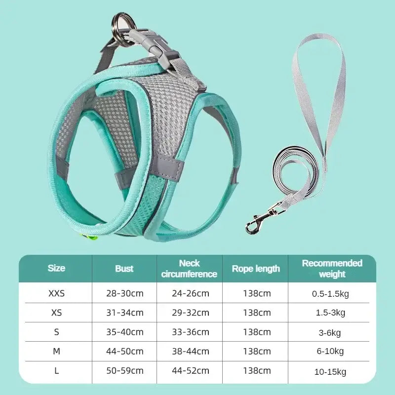 Teal and gray breathable adjustable mesh dog harness with straps and matching leash for safety and comfort