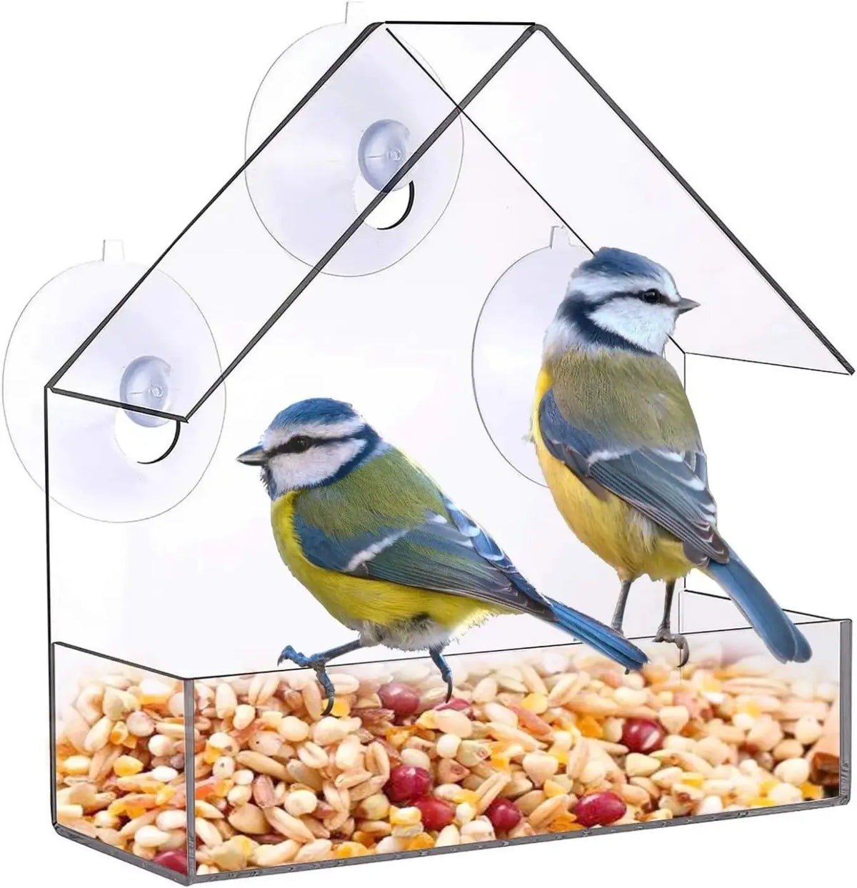 Clear window acrylic hanging bird feeder in clear acrylic with house shape and three suction cups for mounting on windows