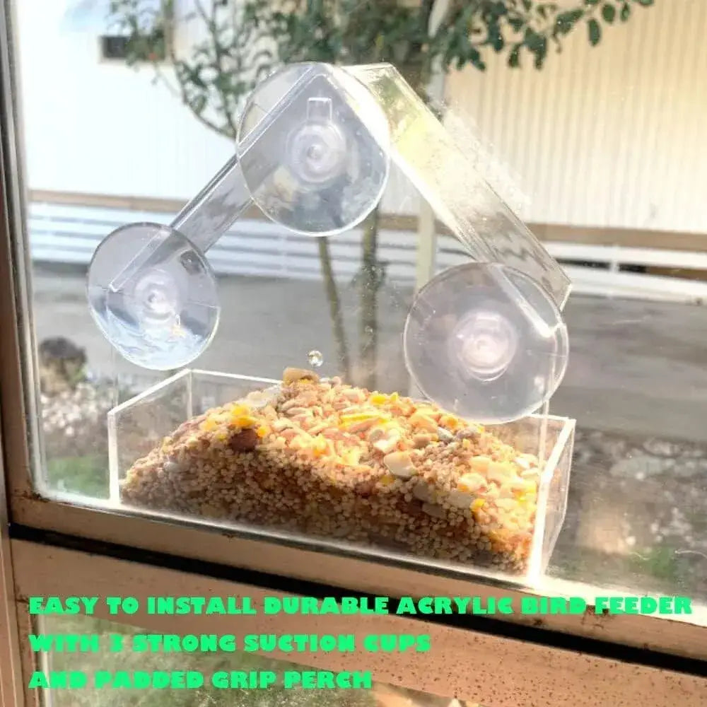 Clear acrylic window hanging bird feeder with three transparent suction cups and padded grip perch for birds