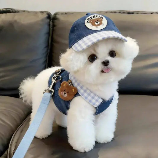 Adorable white puppy wearing a blue plaid cartoon dog harness vest with adjustable traction rope for small dogs outdoors
