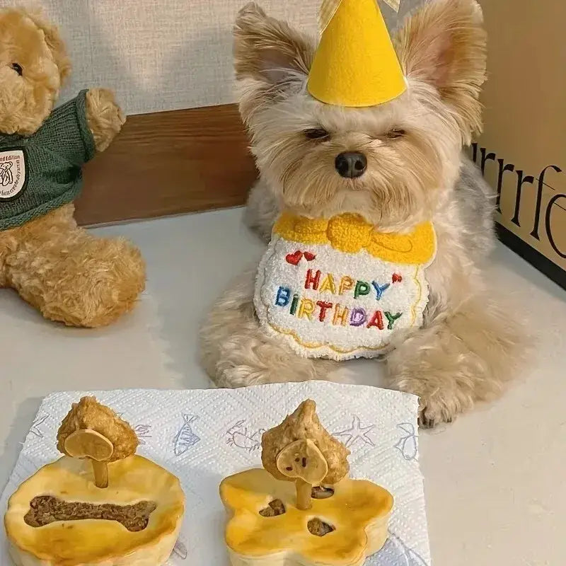 Cute Puppy And Kitten Birthday Hat And Scarf Set