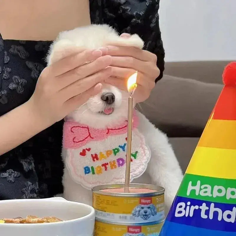 Cute Puppy And Kitten Birthday Hat And Scarf Set