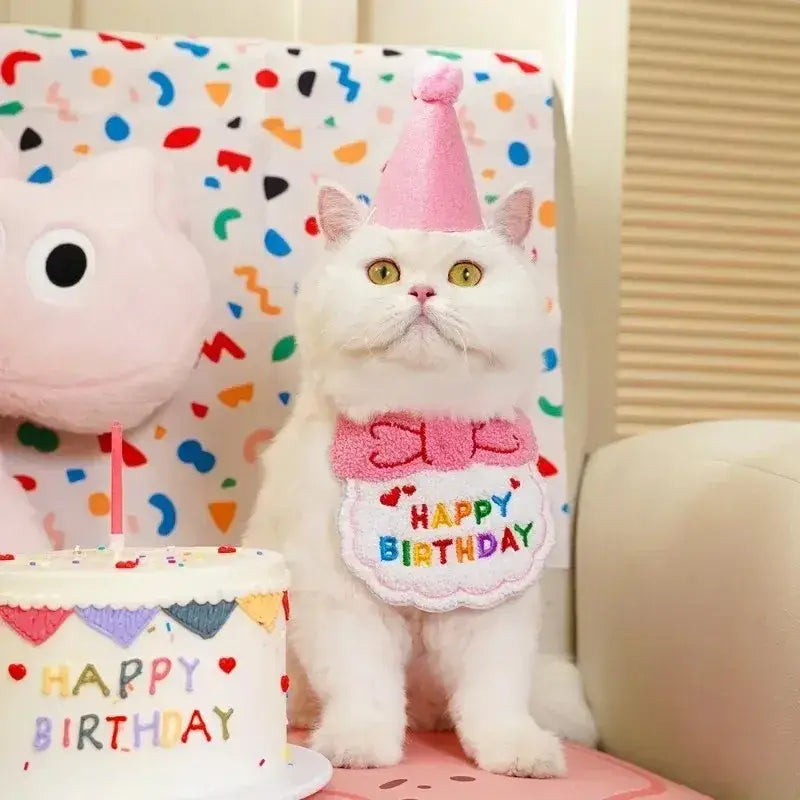 Cute Puppy And Kitten Birthday Hat And Scarf Set