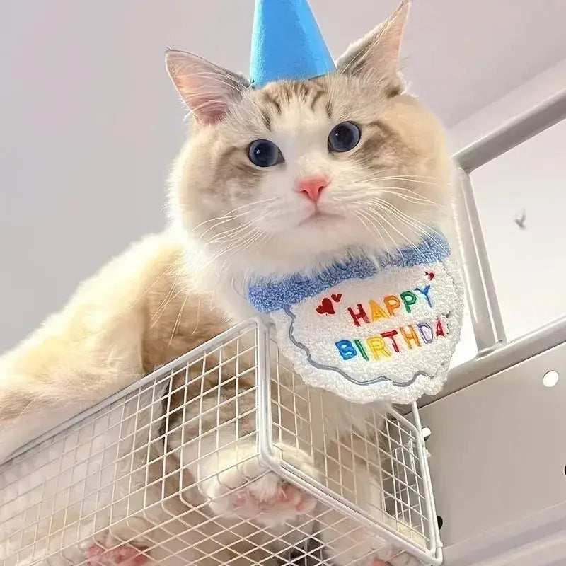 Cute Puppy And Kitten Birthday Hat And Scarf Set