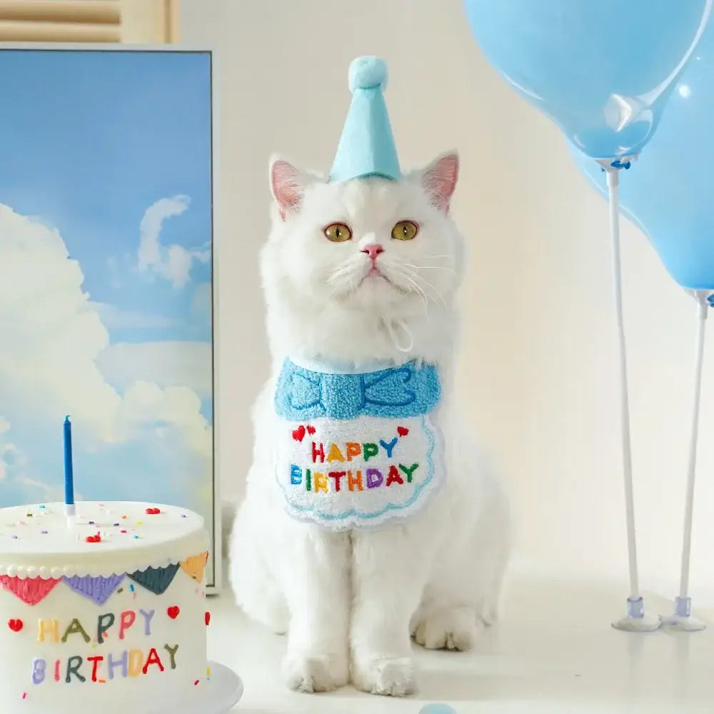 Cute Puppy And Kitten Birthday Hat And Scarf Set