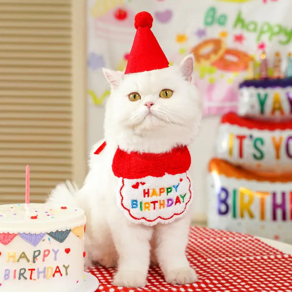 Cute Puppy And Kitten Birthday Hat And Scarf Set