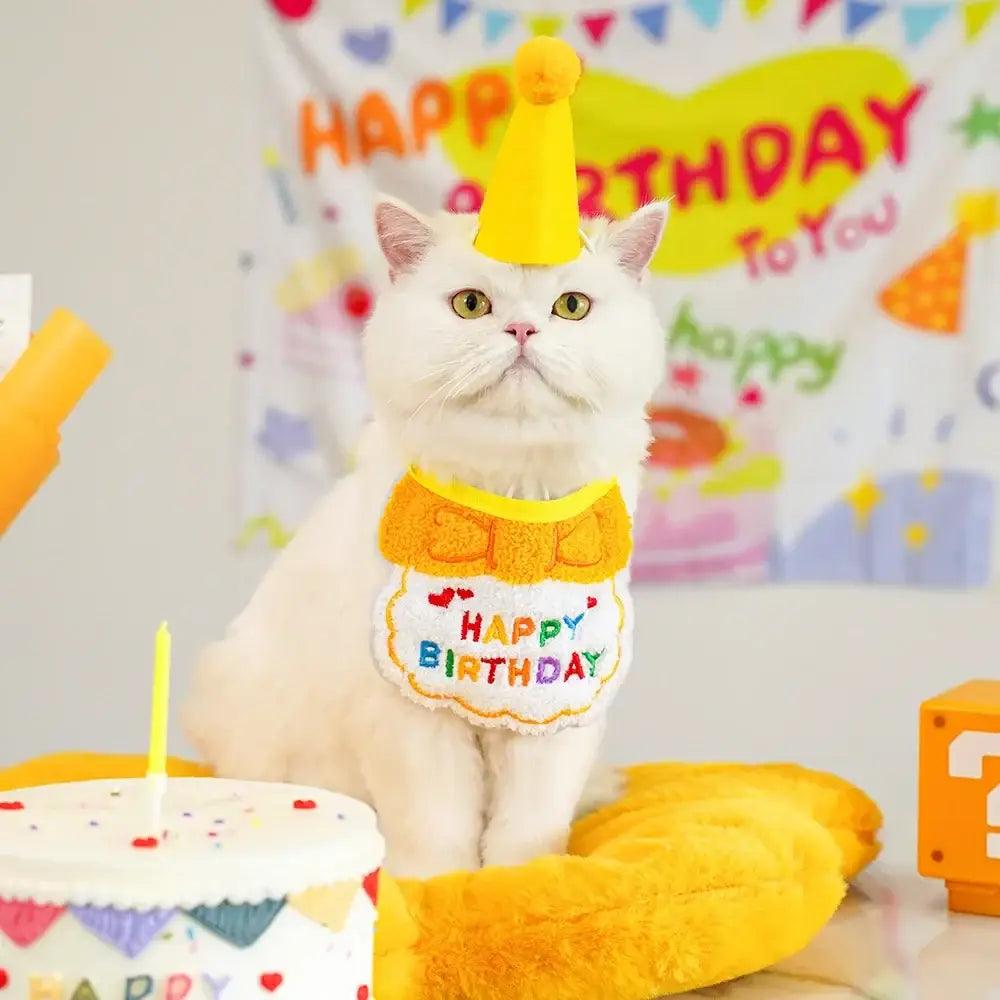Cute Puppy And Kitten Birthday Hat And Scarf Set