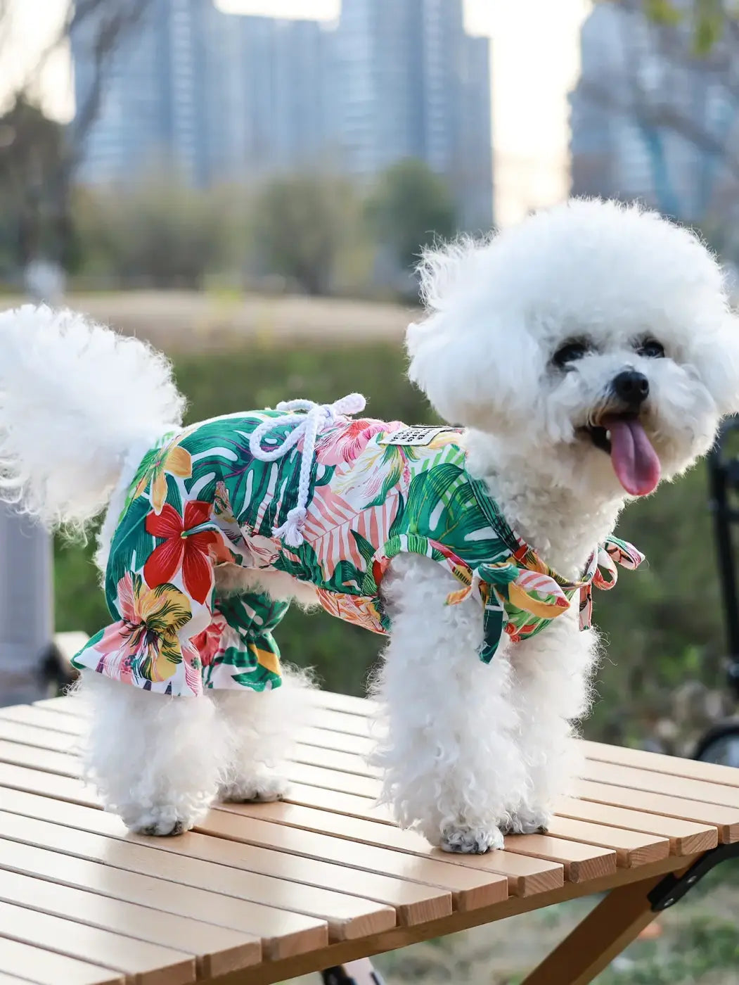 A fluffy white bichon frise wearing a vibrant tropical print spring and summer casual beach style four legged jumpsuit