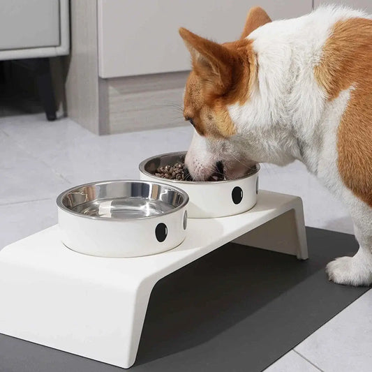 Elevated white dog feeder with two stainless steel bowls one filled with food and the other with water
