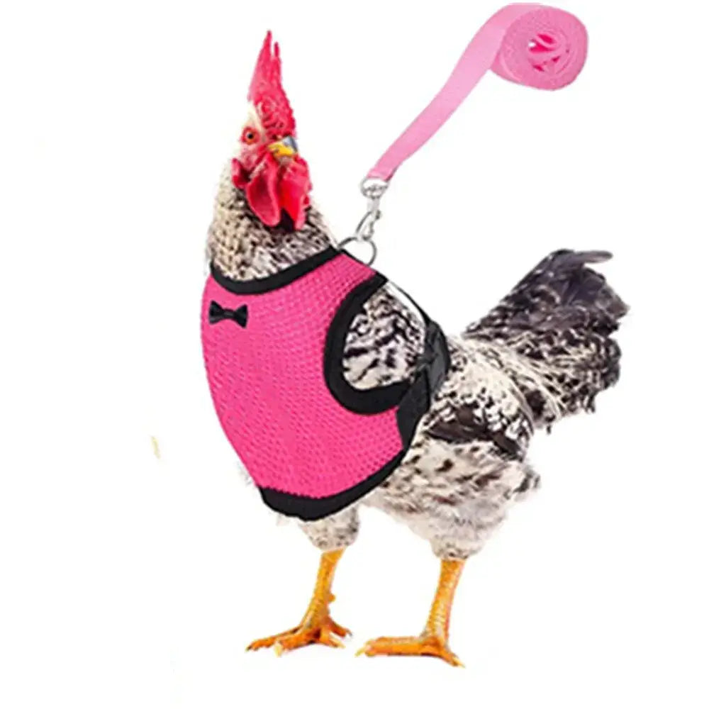 A vibrant pink mesh chicken harness with black trim and bow detail for comfortable breathable poultry use