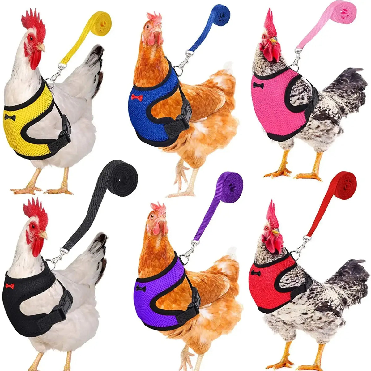 Colorful adjustable chicken harnesses with matching leash attachments in yellow blue pink black purple and red breathable poultry supplies